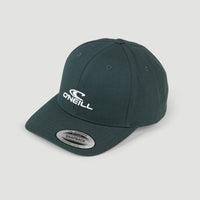 O'Neill Logo Wave Cap | North Atlantic