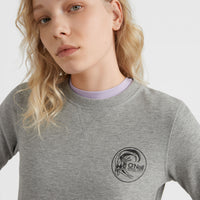 Circle Surfer Crew Sweatshirt | Silver Melee