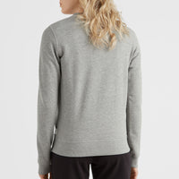 Circle Surfer Crew Sweatshirt | Silver Melee