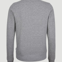 Circle Surfer Crew Sweatshirt | Silver Melee