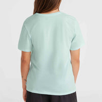 Essentials T-Shirt mit V-Ausschnitt | Soothing Sea