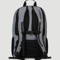 Boarder Rucksack | Silver Melee