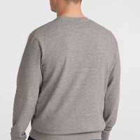 O'Neill Logo Crew Sweatshirt | Silver Melee