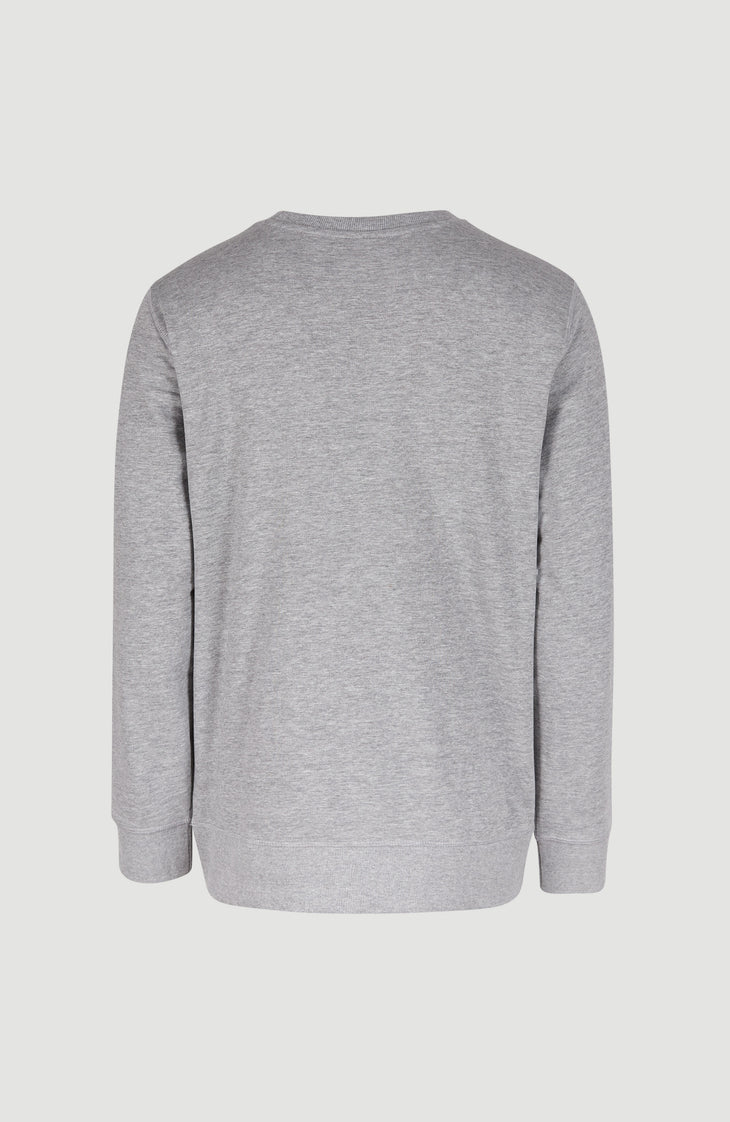 O'Neill Logo Crew Sweatshirt | Silver Melee