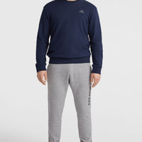 O'Neill Small Logo Crew Sweatshirt | Ink Blue