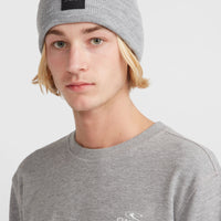 O'Neill Small Logo Crew Sweatshirt | Silver Melee