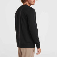 O'Neill Small Logo Crew Sweatshirt | Black Out