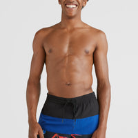 Frame Block Badehose | Blue Multi 6