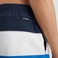 Frame Block Badehose | Blue Multi 9