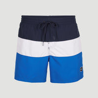 Frame Block Badehose | Blue Multi 9