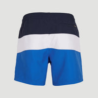 Frame Block Badehose | Blue Multi 9