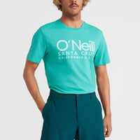Hybrid Chino-Shorts | Deep Teal