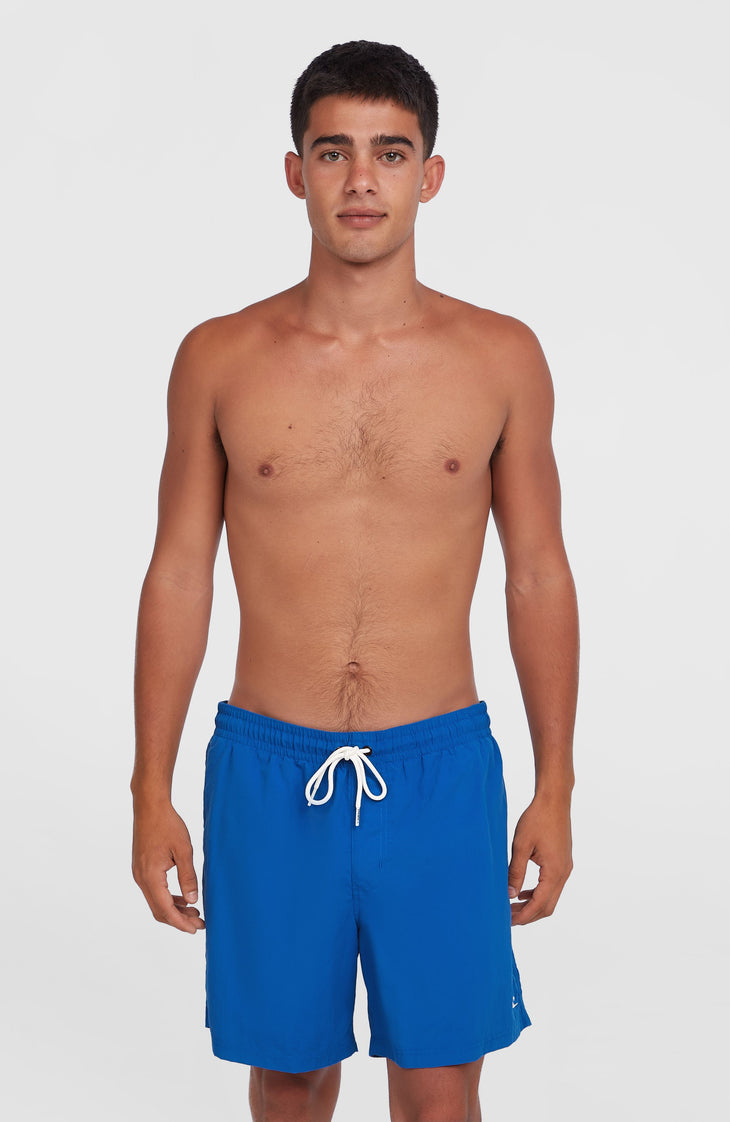 O'Neill Vert 16'' Badehose | Victoria Blue