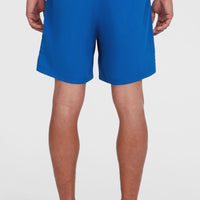 O'Neill Vert 16'' Badehose | Victoria Blue