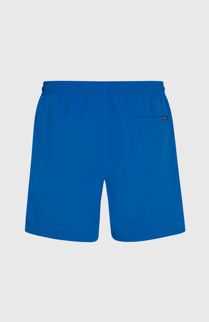 O'Neill Vert 16'' Badehose | Victoria Blue