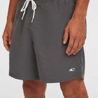 O'Neill Vert 16'' Badehose | Asphalt