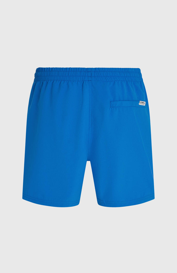 O'Neill Logo 16" Badehose | Victoria Blue