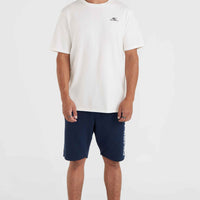 O'Neill Small Logo T-Shirt | Snow White