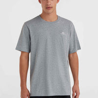 O'Neill Small Logo T-Shirt | Silver Melee