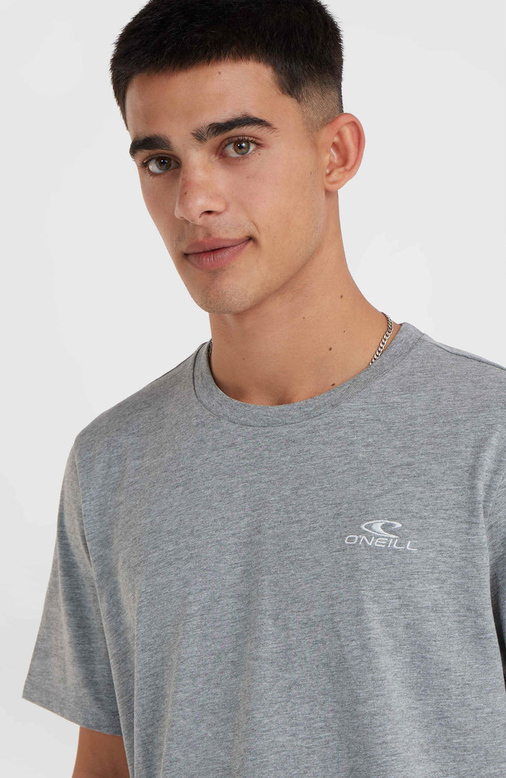 O'Neill Small Logo T-Shirt | Silver Melee