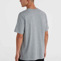 O'Neill Small Logo T-Shirt | Silver Melee