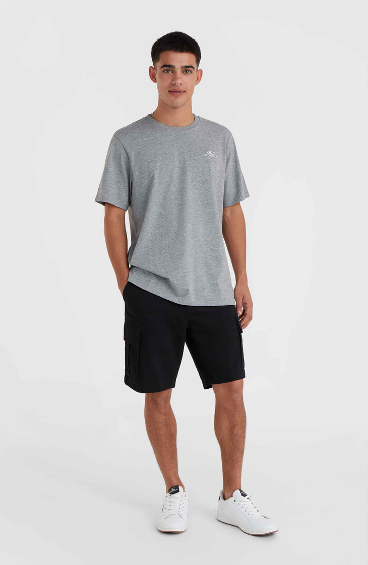 O'Neill Small Logo T-Shirt | Silver Melee