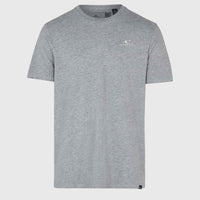 O'Neill Small Logo T-Shirt | Silver Melee