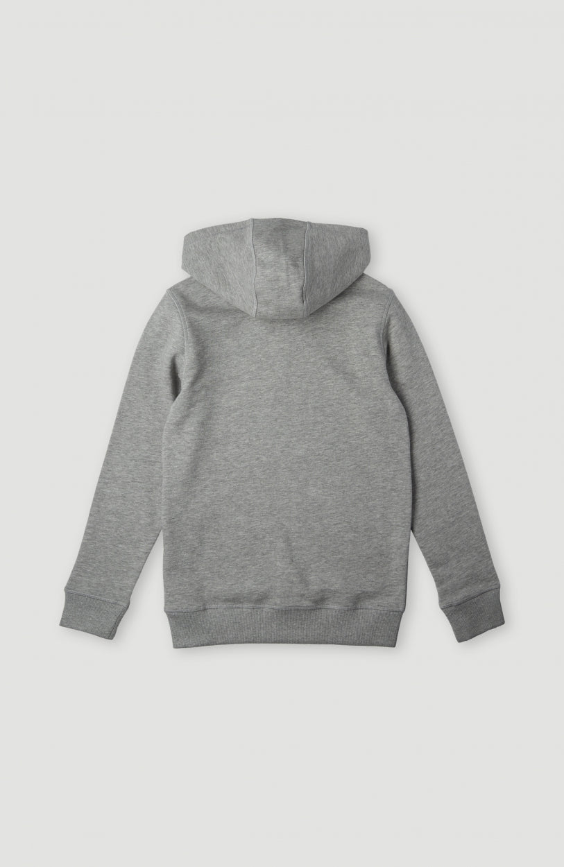 Circle Surfer Kapuzenpullover | Silver Melee