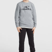 O'Neill Logo Crew Sweatshirt | Silver Melee