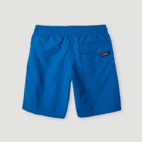 Vert 14'' Badehose | Victoria Blue
