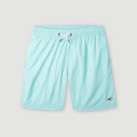 Vert 14'' Badehose | Beach Glass