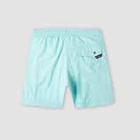 Vert 14'' Badehose | Beach Glass