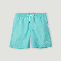 Vert 14'' Badehose | Aqua Spalsh