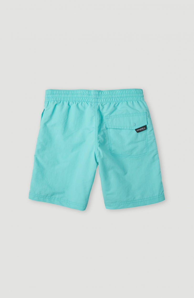 Vert 14'' Badehose | Aqua Spalsh