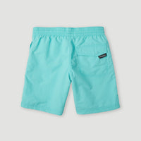 Vert 14'' Badehose | Aqua Spalsh