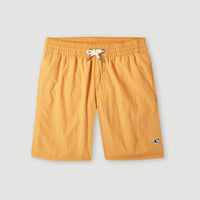 Vert 14'' Badehose | Nugget