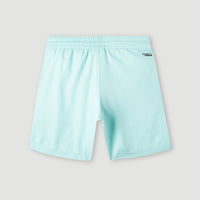 Original Cali 14'' Badehose | Beach Glass